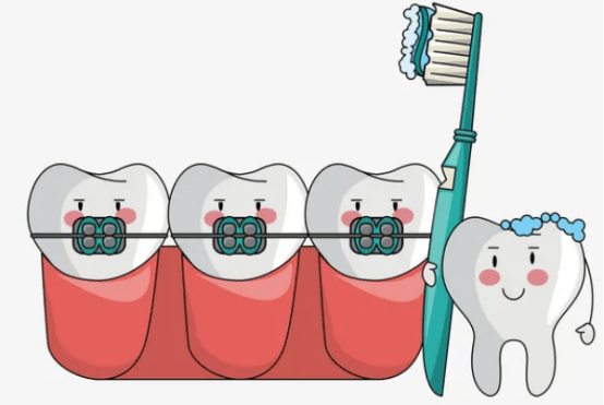 箍牙一般拔哪四颗牙齿 箍牙通常拔哪几颗牙